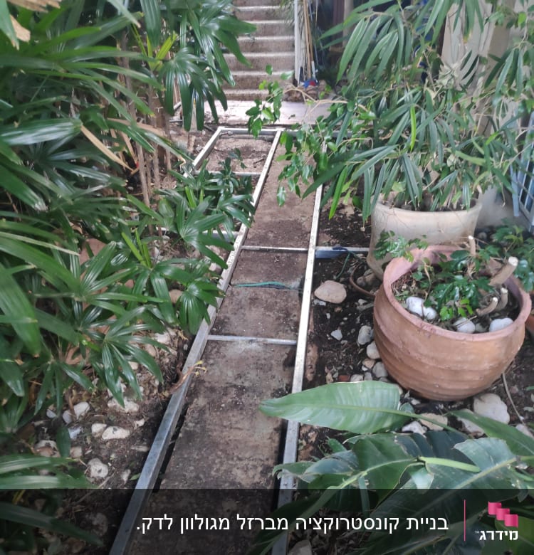 מסגרת מתכת על שביל עפר בין צמחים